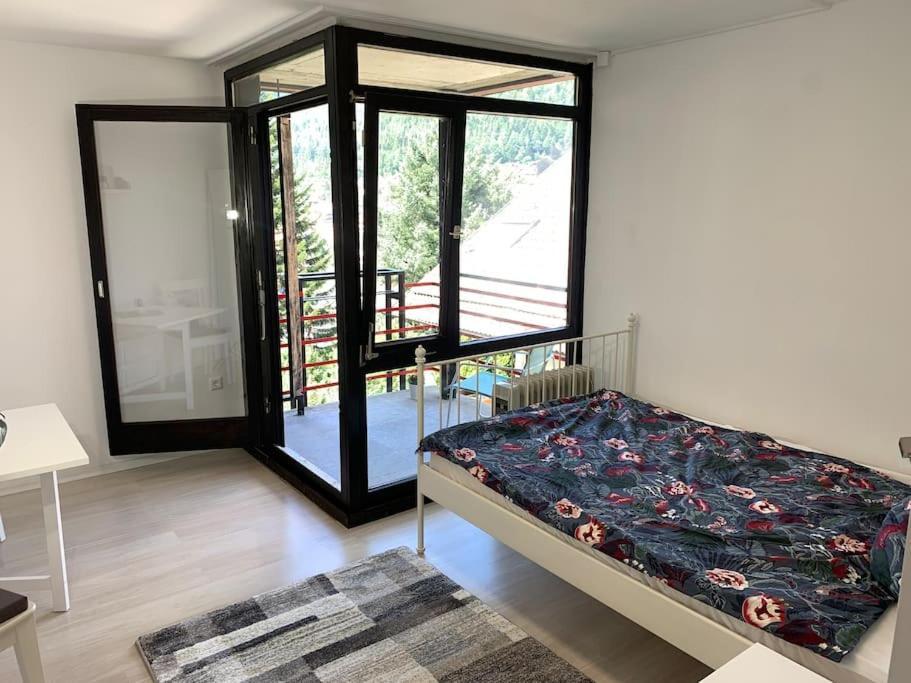 Gemuetliches Einzimmer-Apartment 33 Bad Wildbad Exterior foto