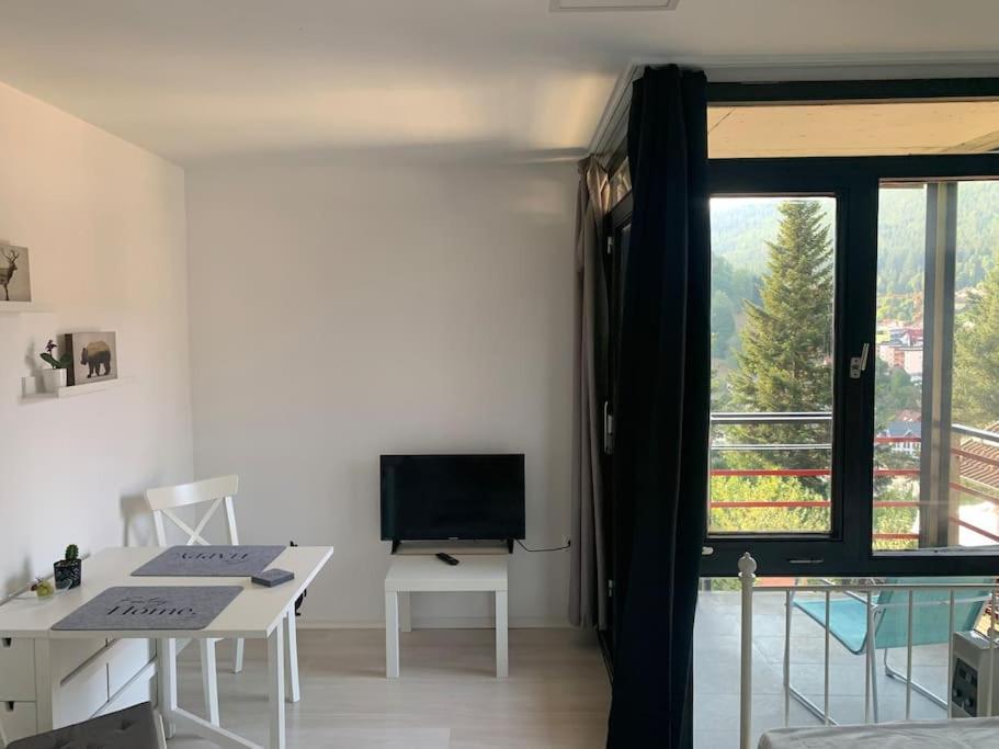 Gemuetliches Einzimmer-Apartment 33 Bad Wildbad Exterior foto