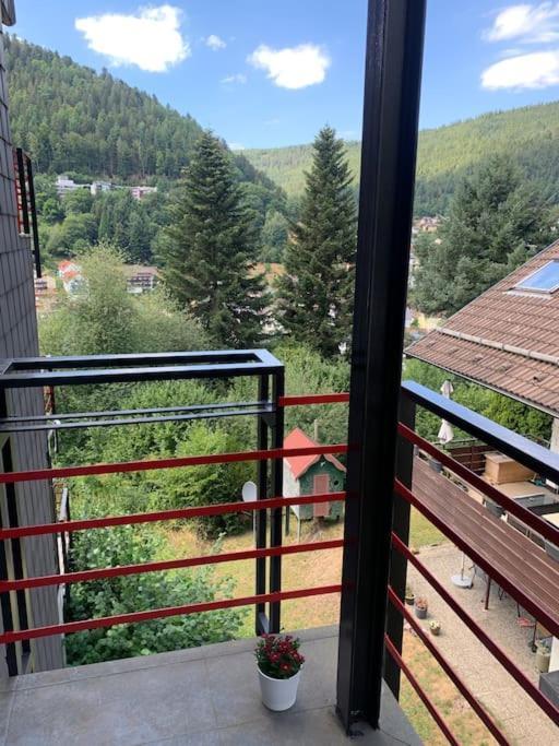Gemuetliches Einzimmer-Apartment 33 Bad Wildbad Exterior foto